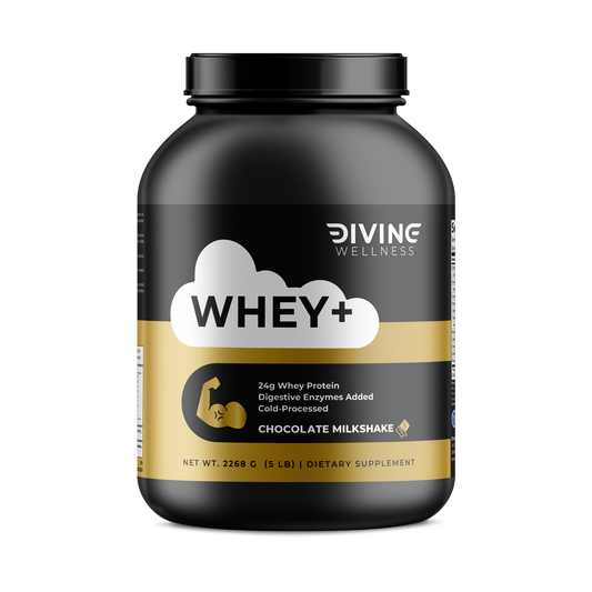 Whey+ Chocolate Milkshake